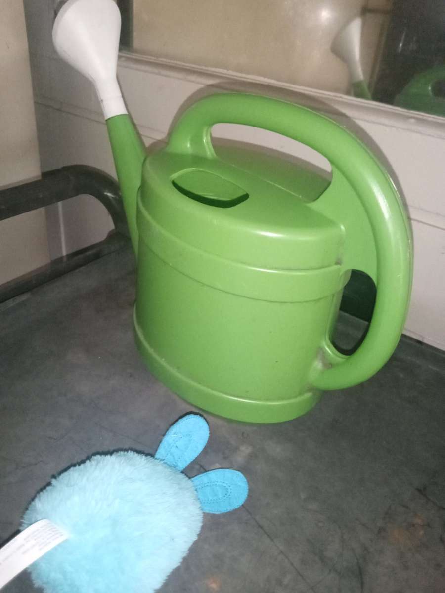 water pitcher