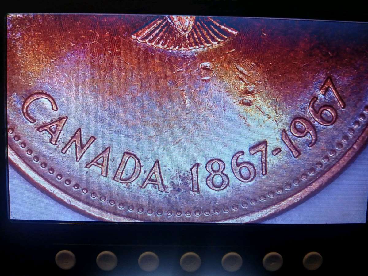 1967 100 year anniversary 1c Canada coin with ddo errors