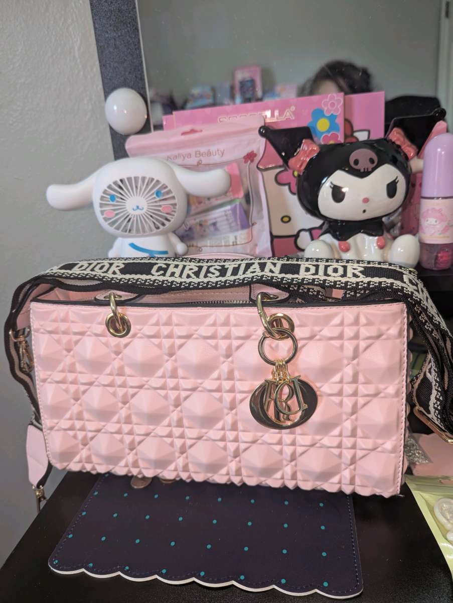 Christian Dior purse