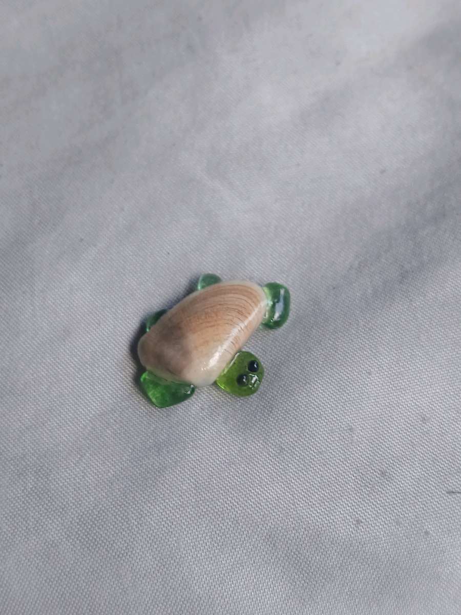Handmade turtle M1