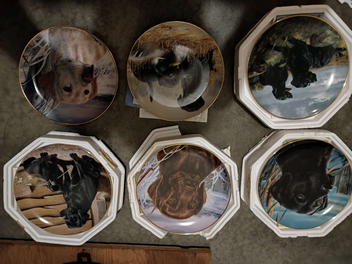 Franklin Mint and Bradford Exchange plates