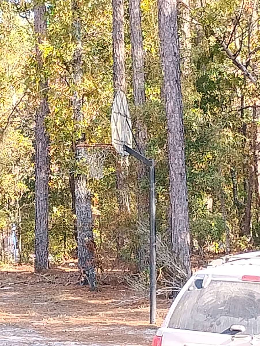 the basketball net backboard and stand
