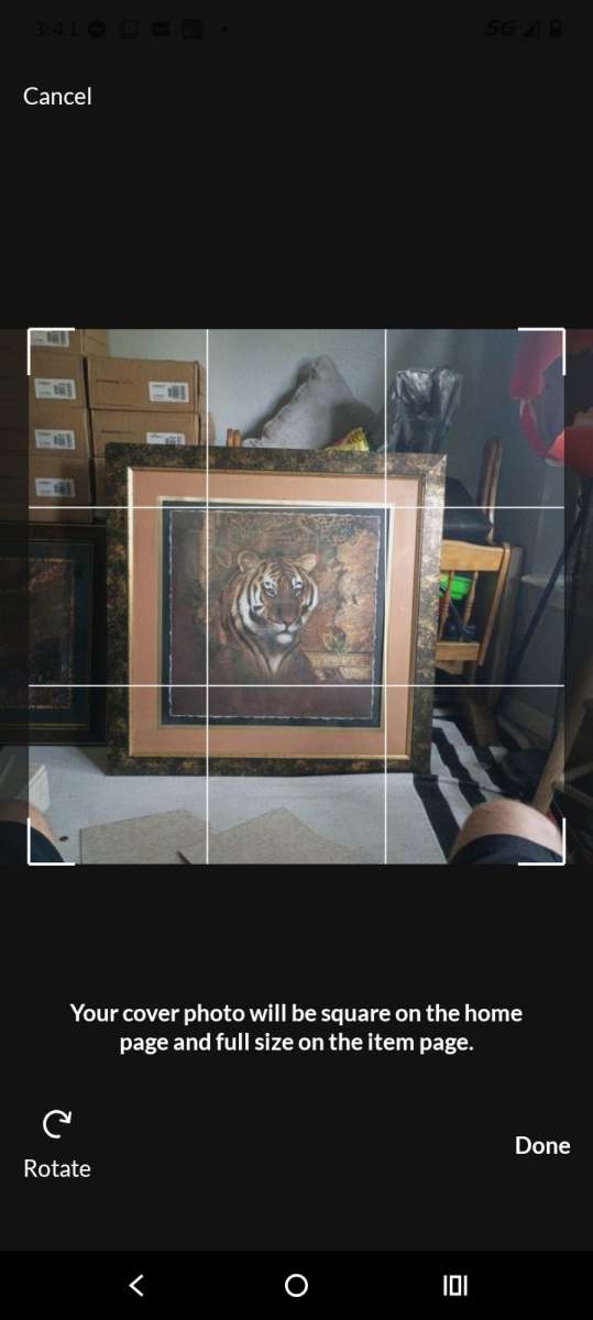 Tiger and leopard painting