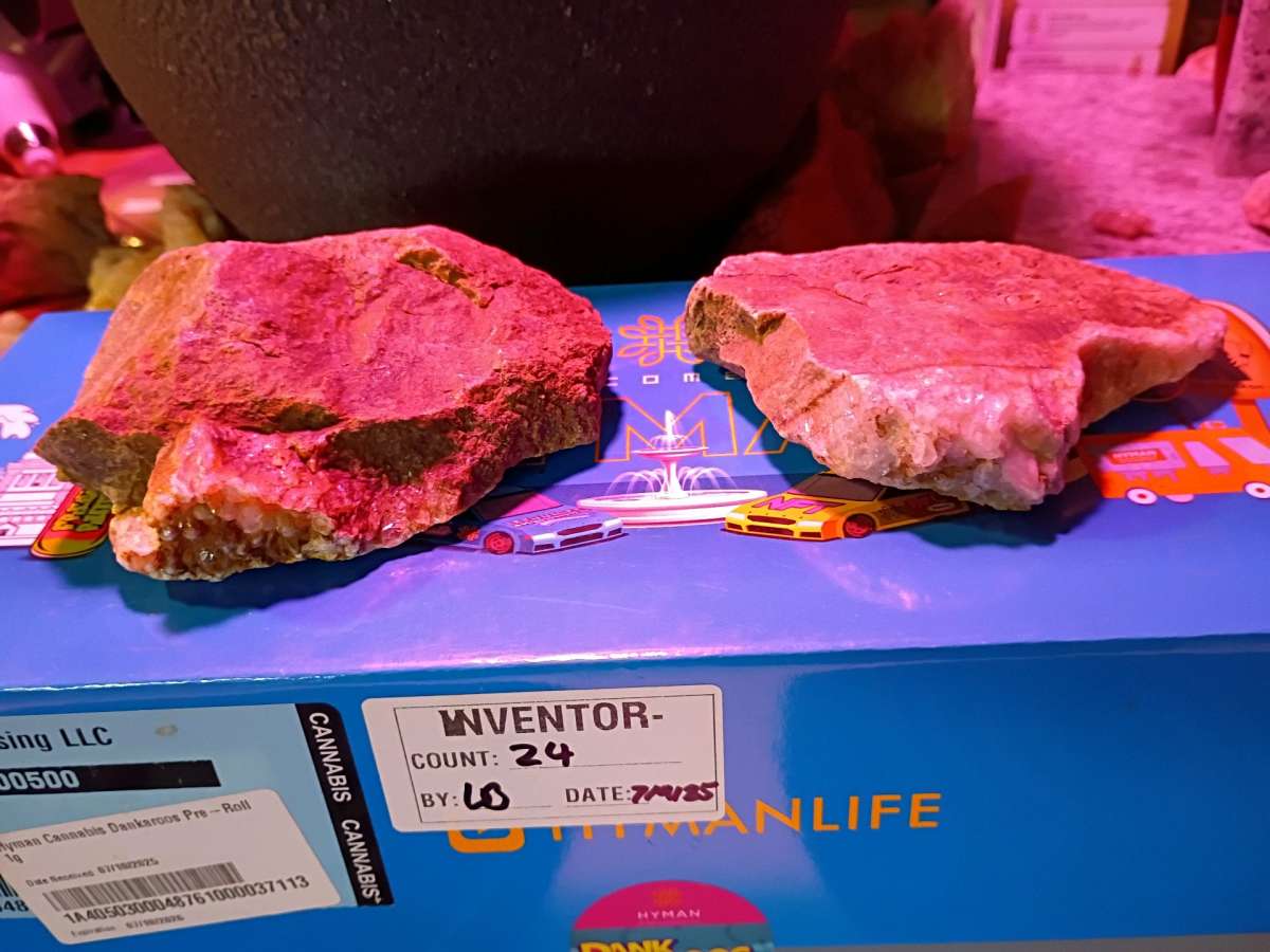 paliolithic native American stone axe heads