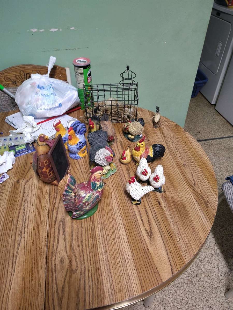 chickens and roosters