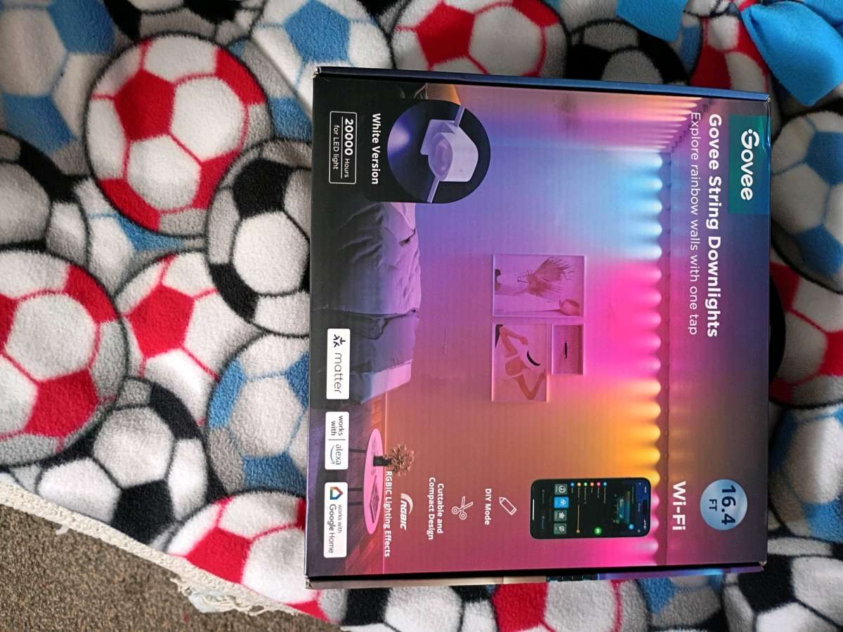 Govee string DOWNLIGHTS