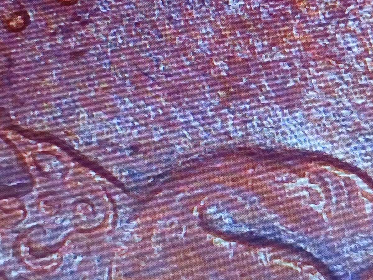 1967 100 year anniversary 1c Canada coin with ddo errors