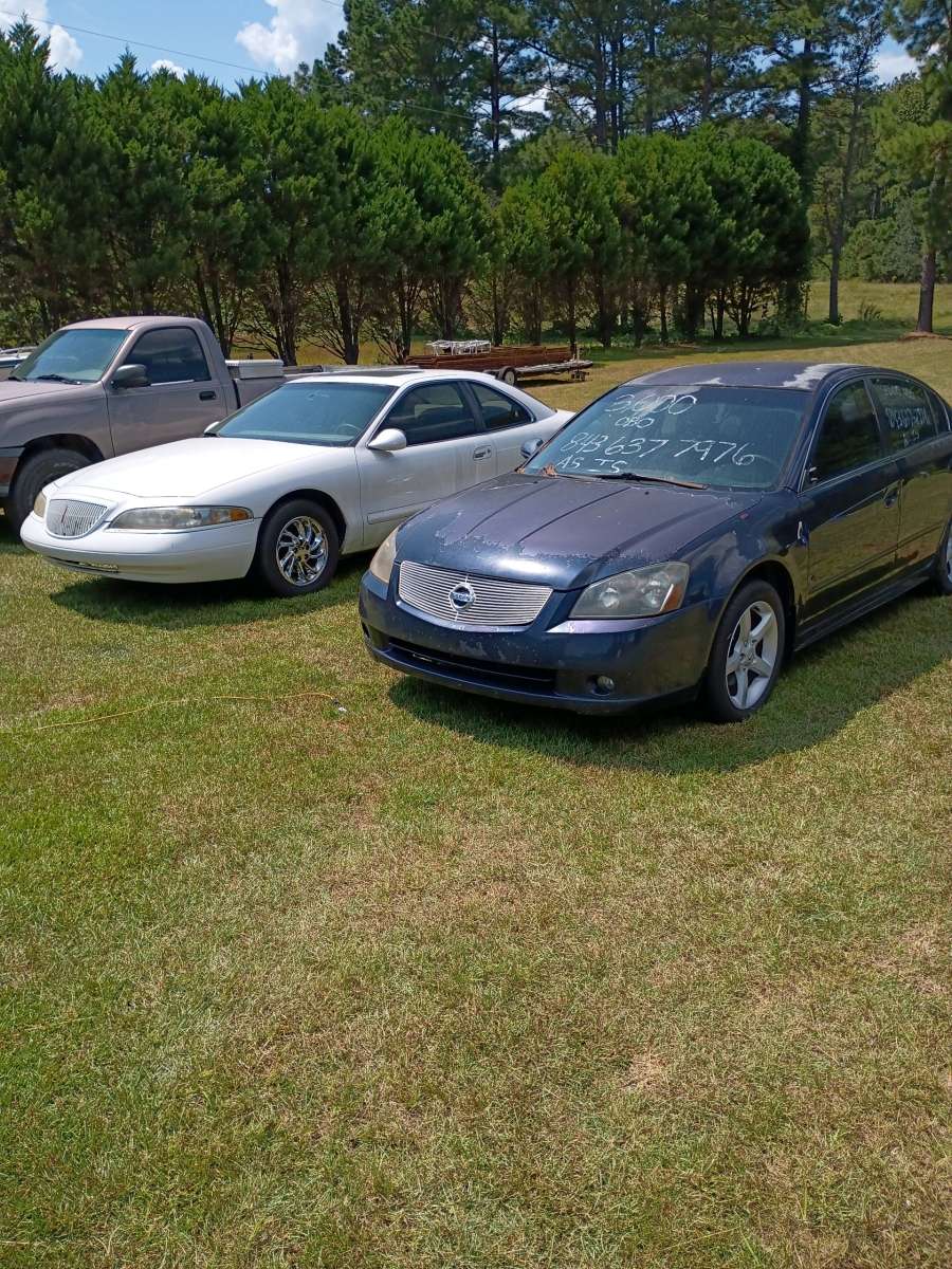 a little bit of everything