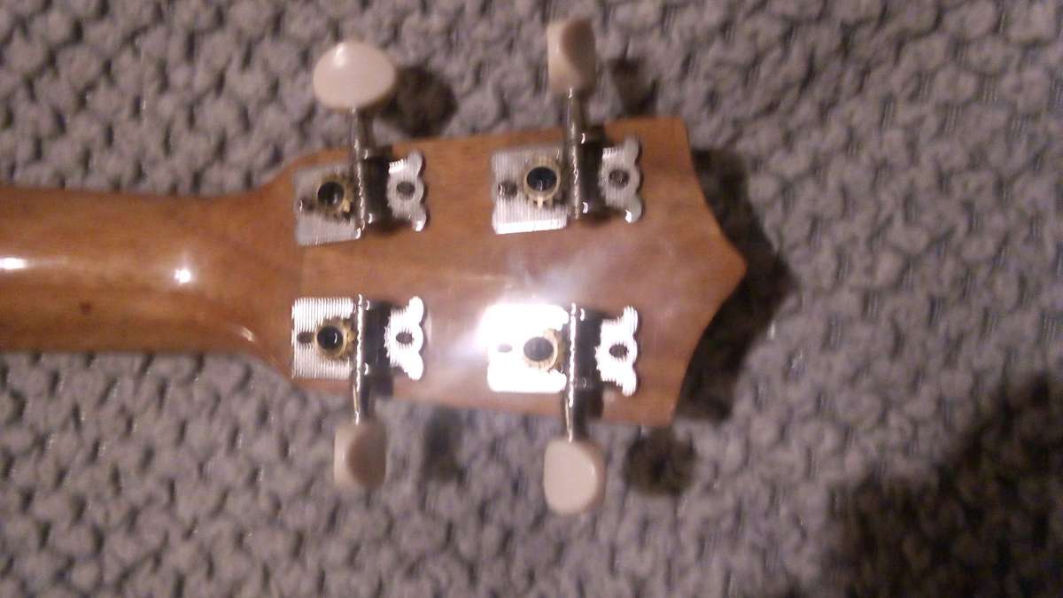 leolani ukulele zebrawood