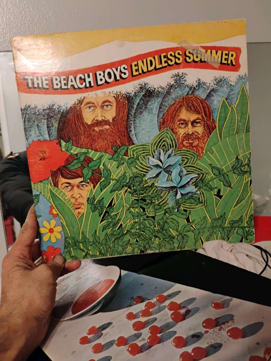 Old School record Beach boys endless Summer two record LP