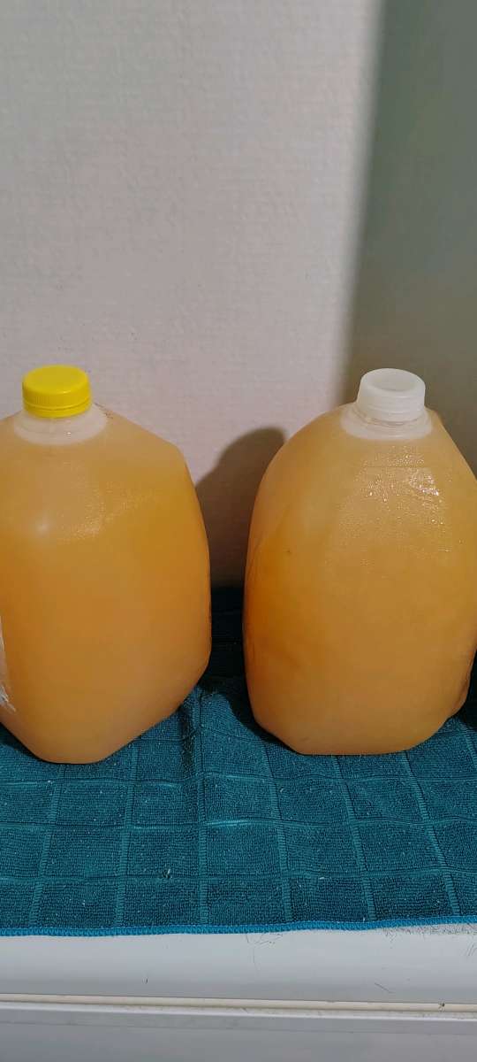 Exotic Cocktails for any occasion