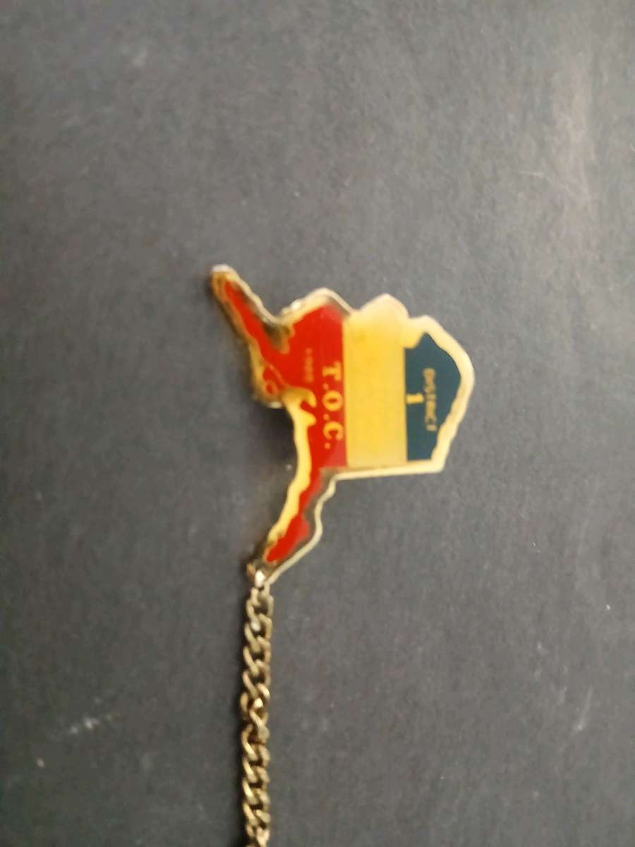 Alaska Little League pin