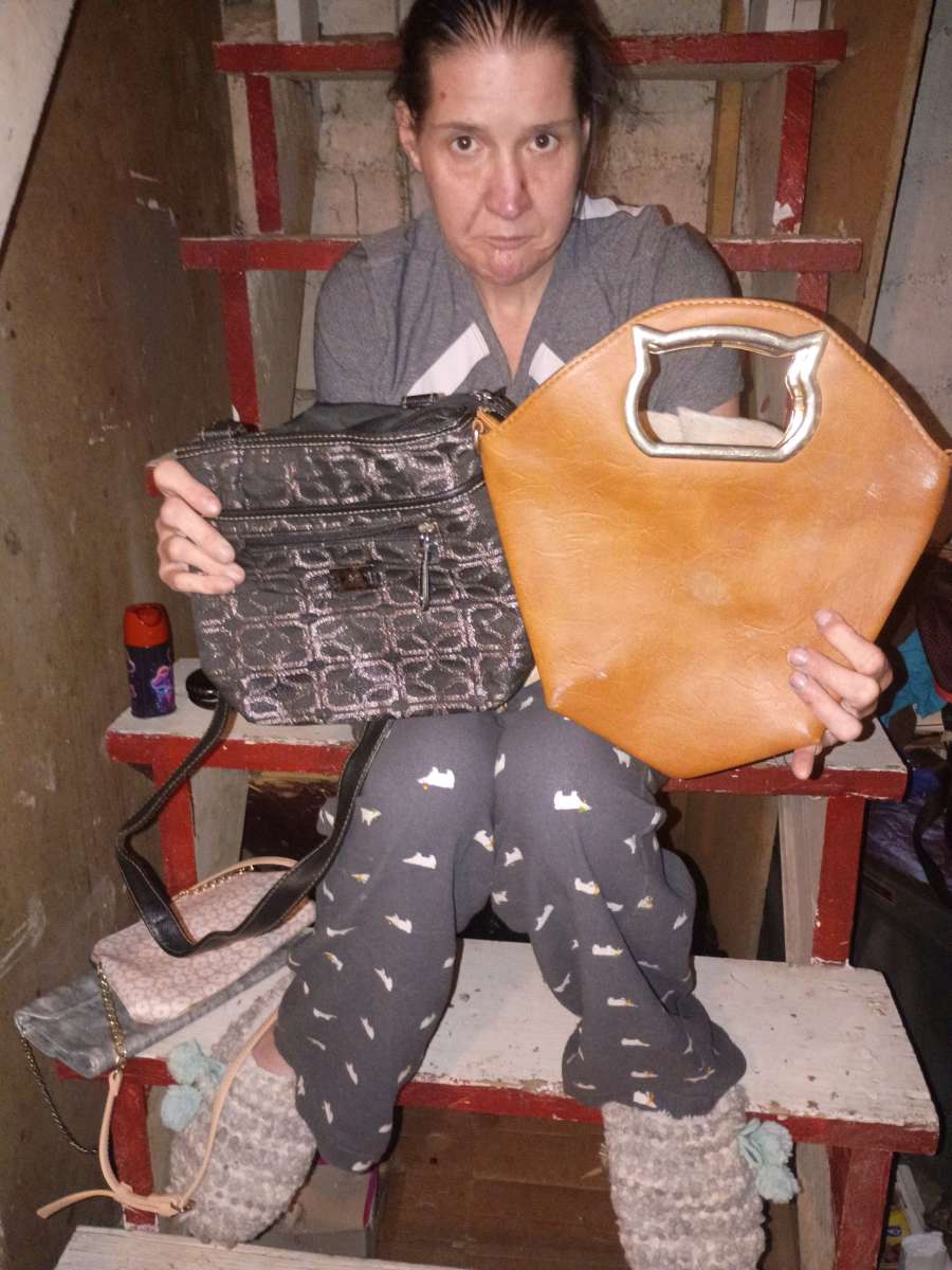 all purses for 5dollars