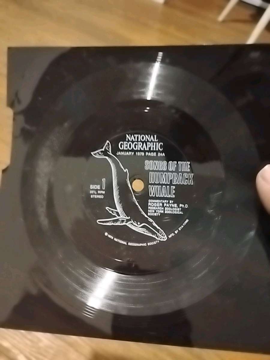 national geographic vintage  songs of the humpback whale