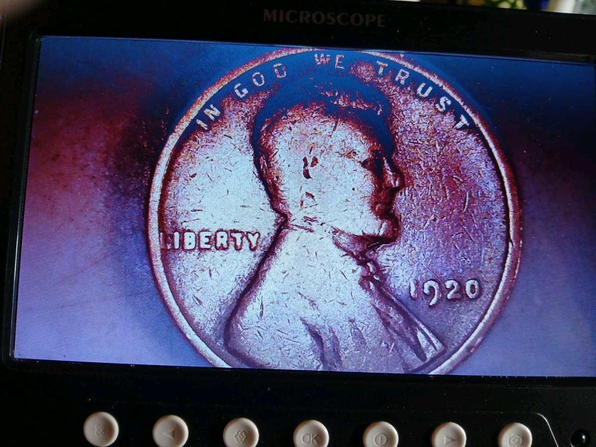 lot of 4 Lincoln wheat pennies