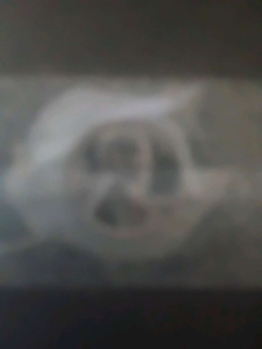 Rare 1 of kind 1964 pure platinum padinski penny