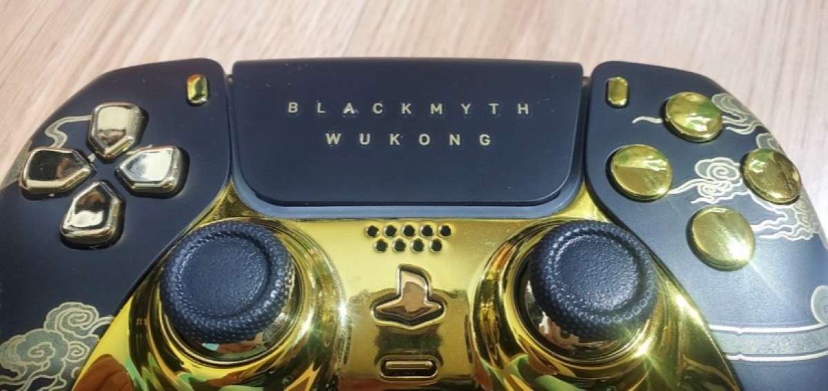 ps5 controller customization