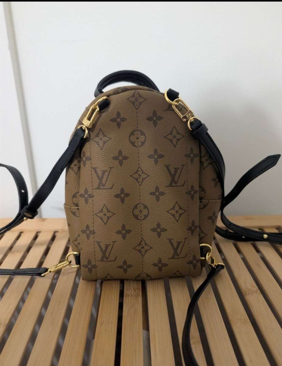 Louis Vuitton Palm springs bag