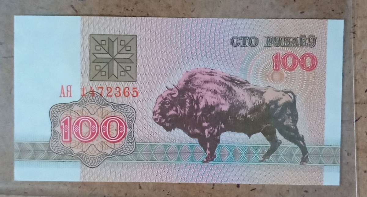 100 Ruble banknote from the Republic of Belarus