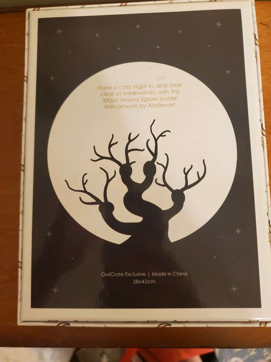 Bookish Owlcrate Exclusive Puzzle