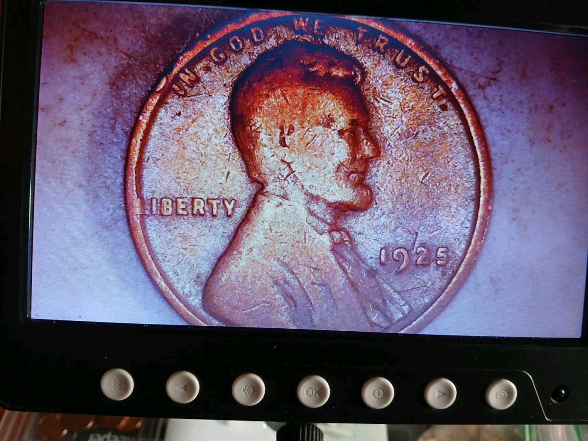 Lincoln wheat pennies 1924 1925 1926 1929