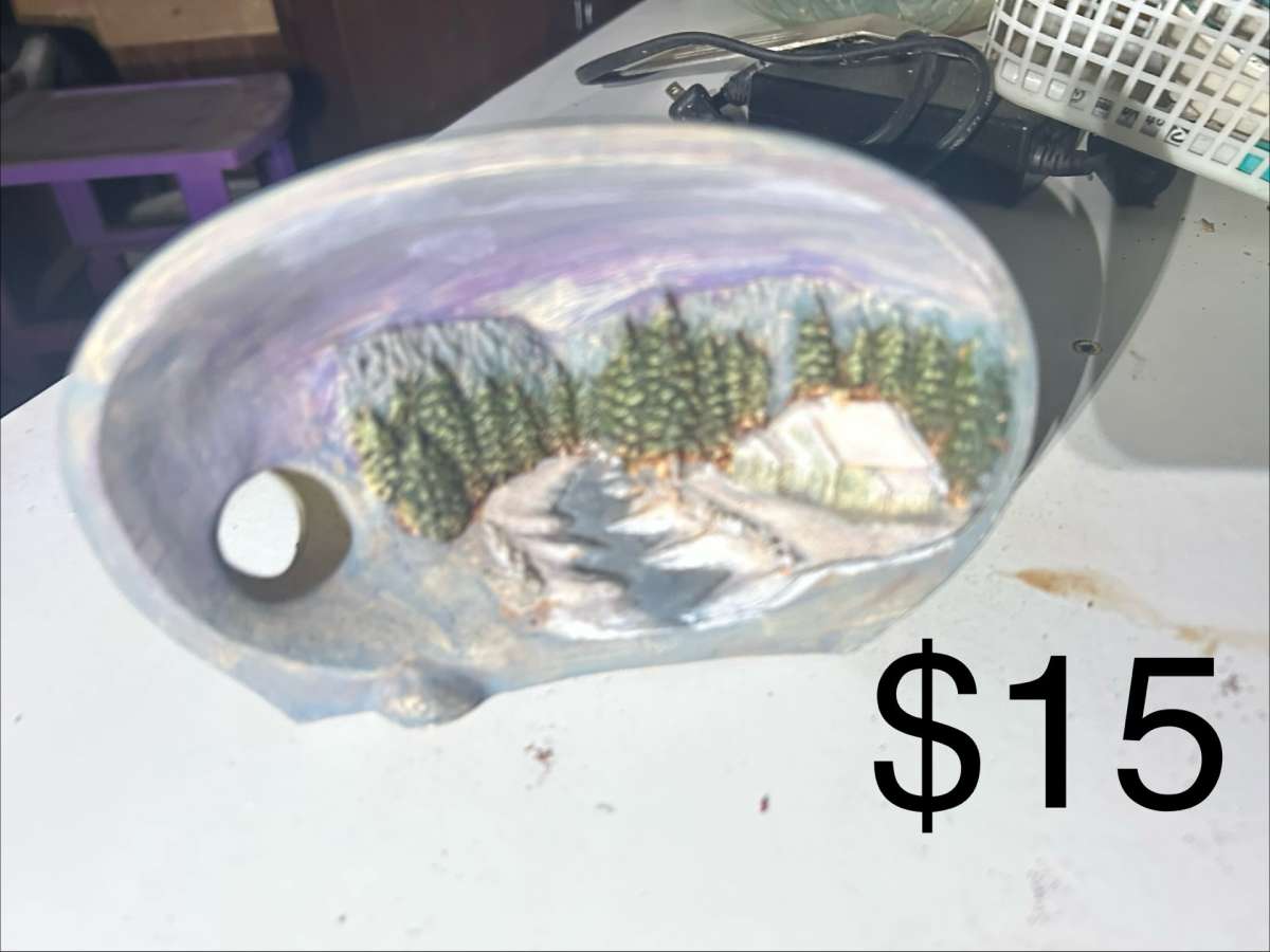 the price is on the picture