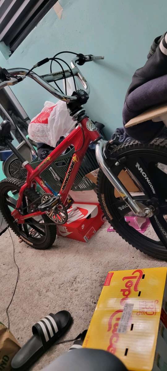 20 mongoose