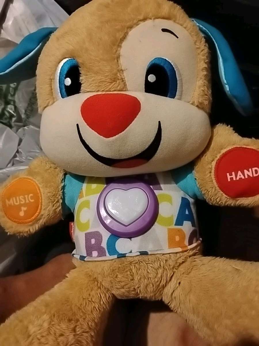 learning pup Fisher price