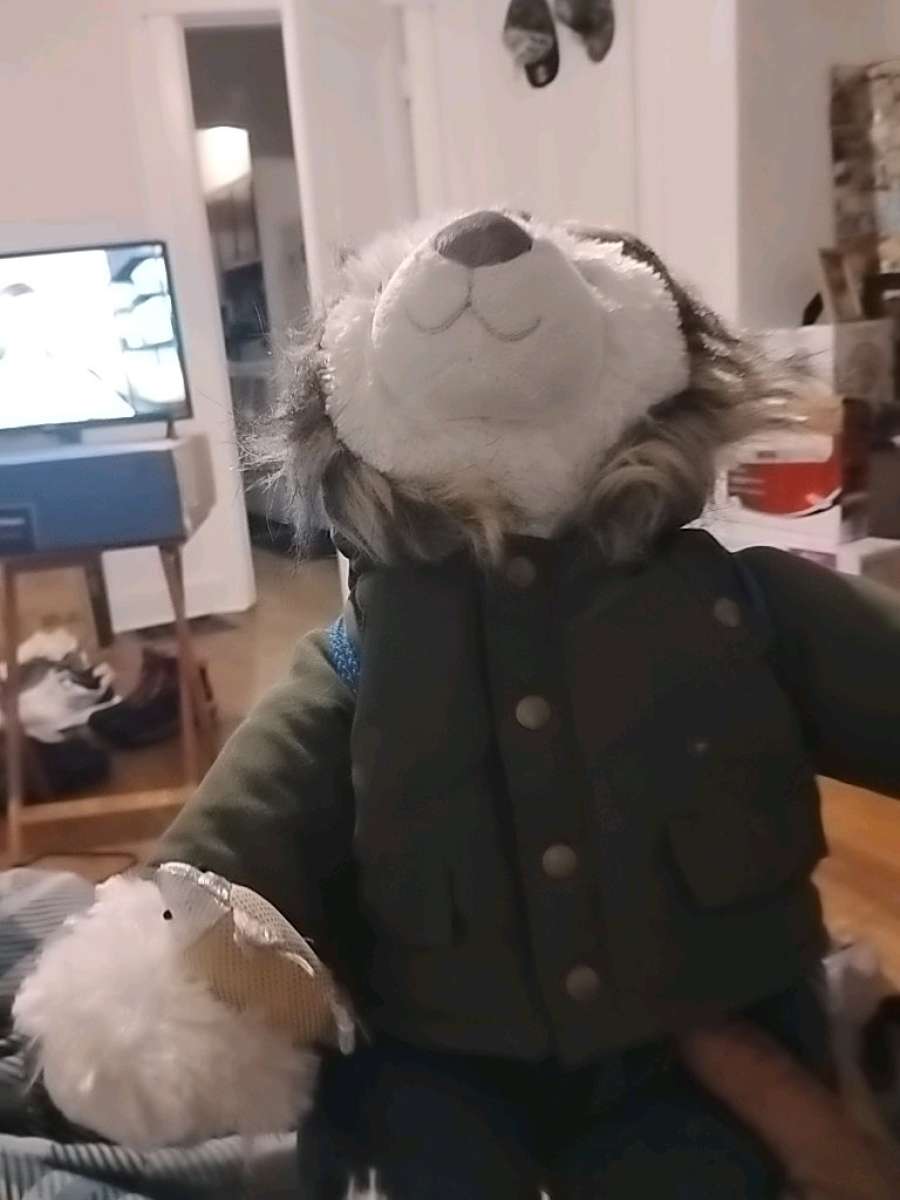 build a bear with back pack