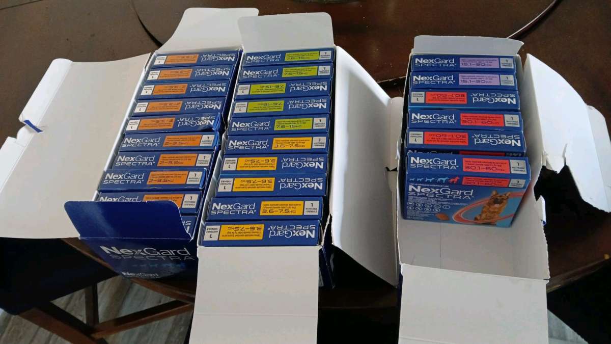nexgard spectral para pulgas y garrapatas