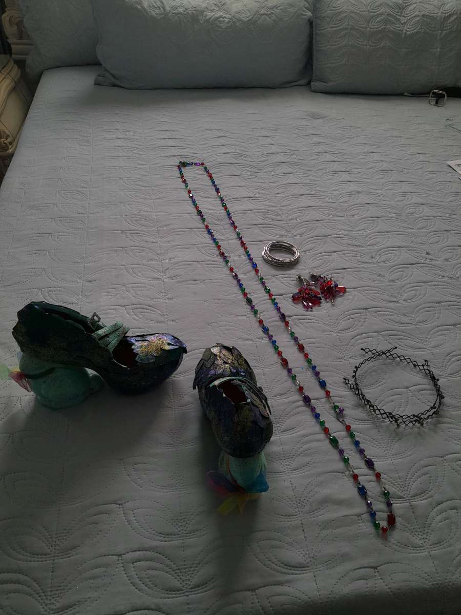 Bundle Prom formal prom dress shoes and accessories