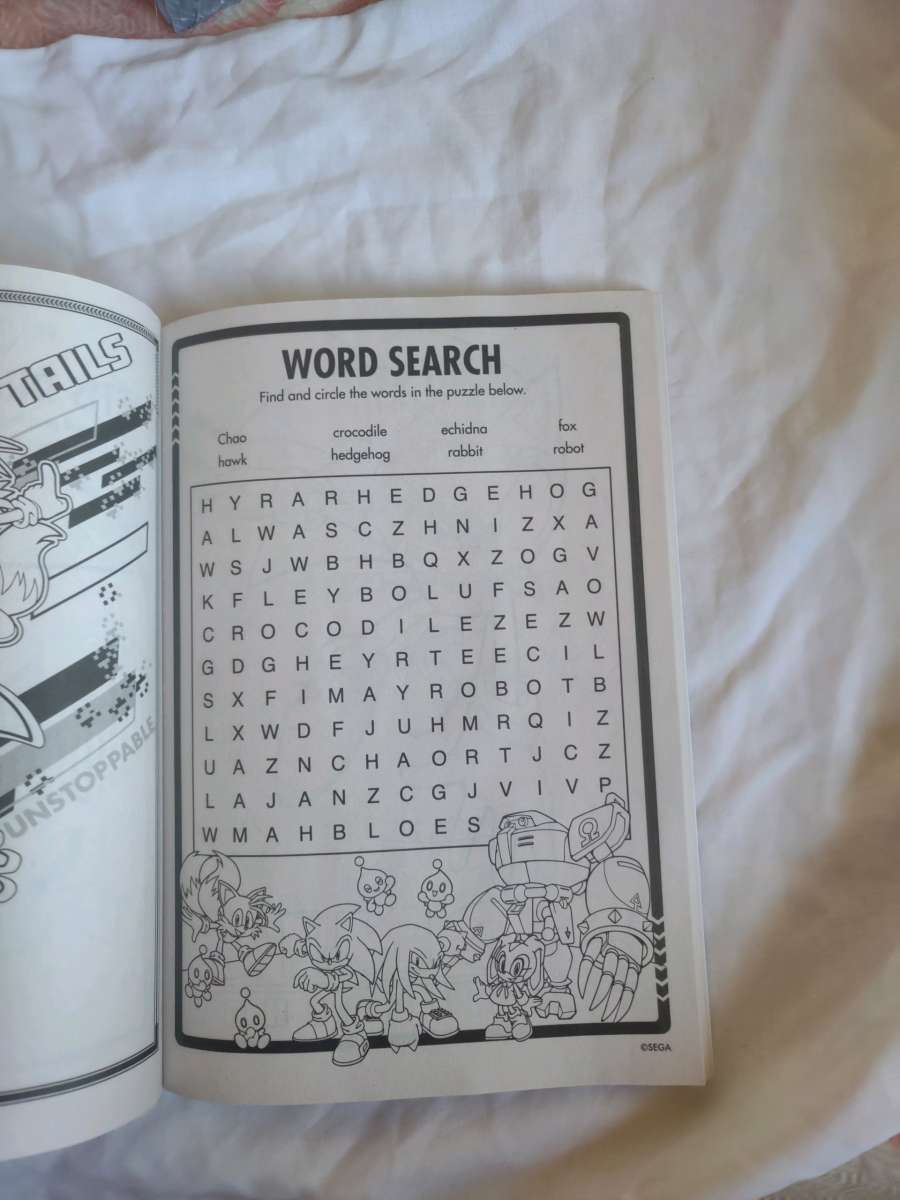 Sonic and Hedgehog activity and coloring book