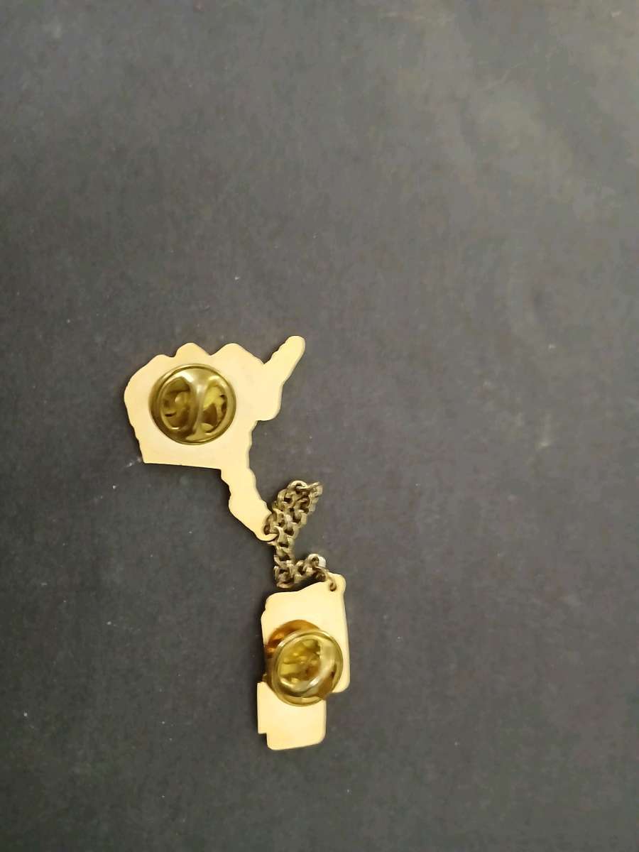 Alaska Little League pin