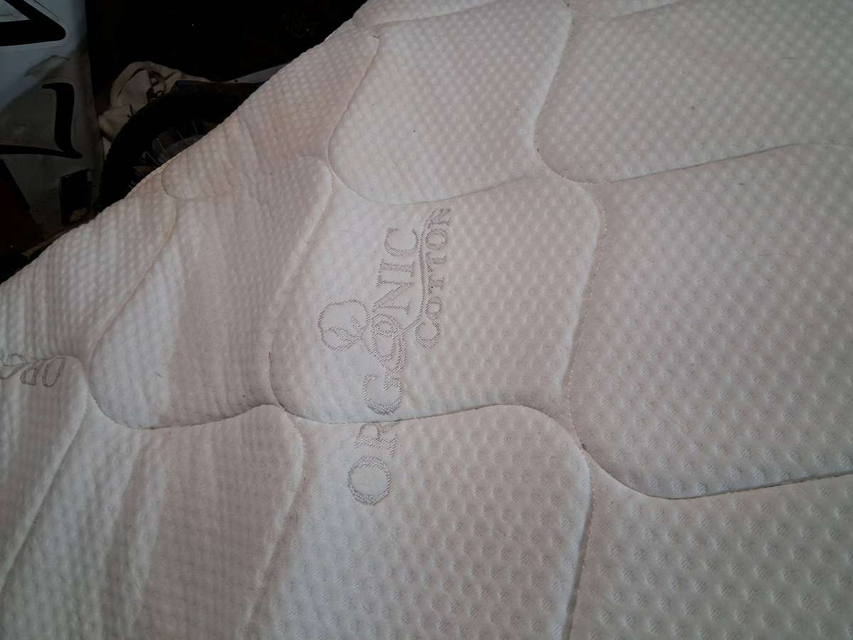 twin Day Bed and mattress