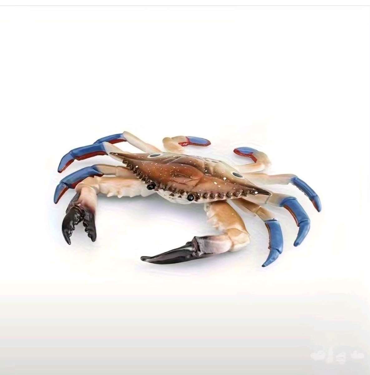 Hard Rubber Aquatic Life