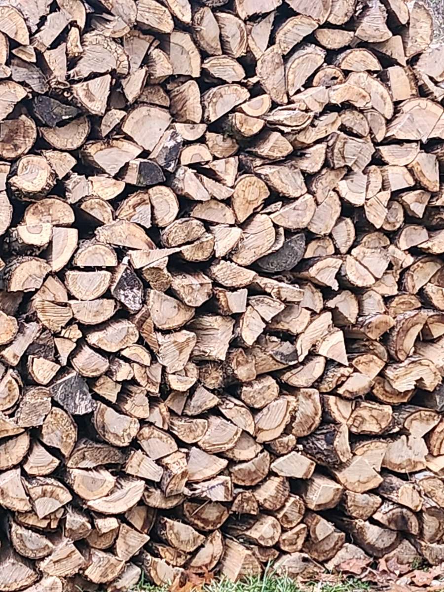 season firewood White Oak