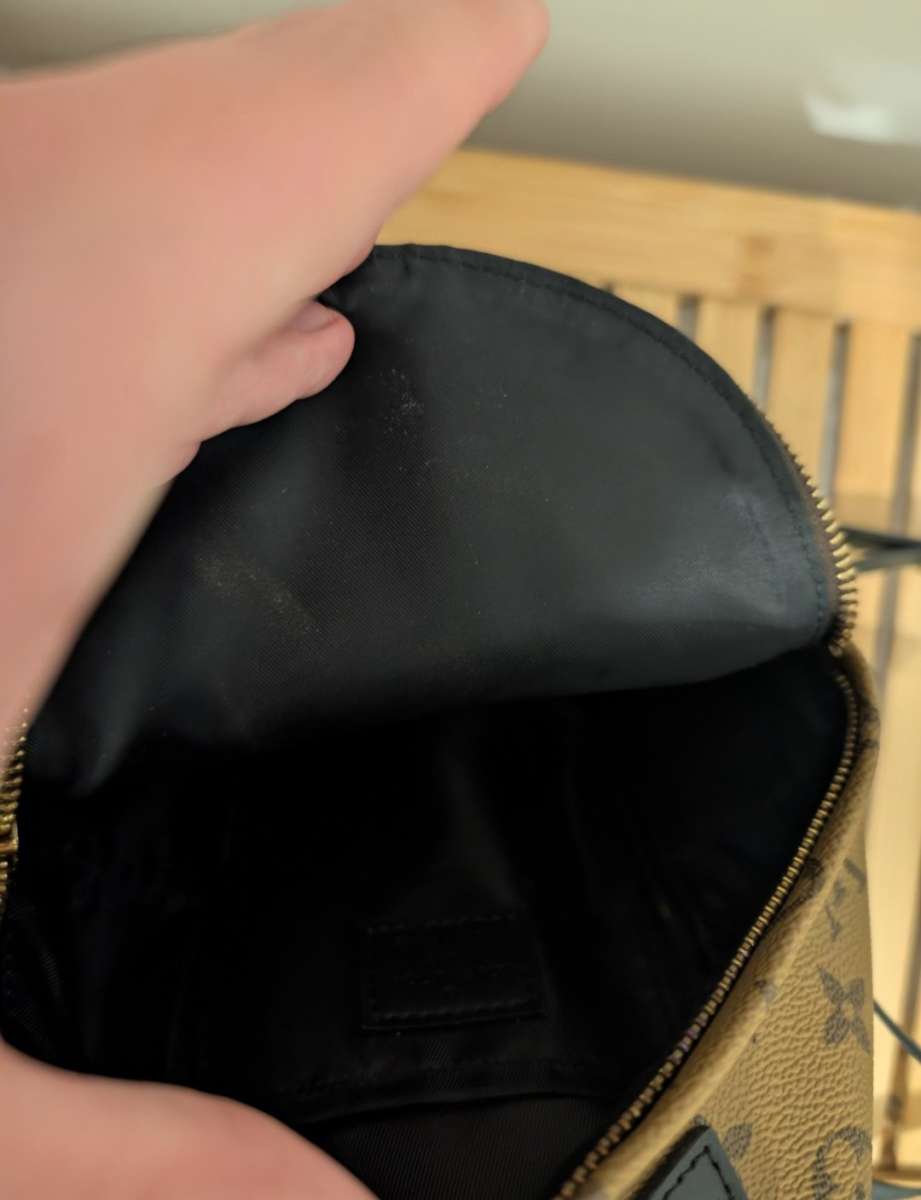 Louis Vuitton Palm springs bag