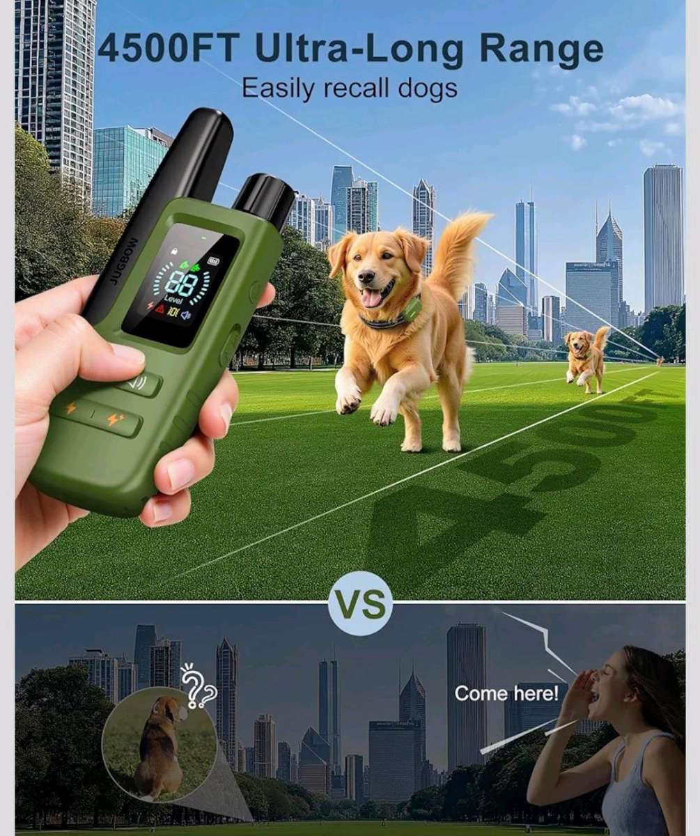 Collar de entrenamiento para perros