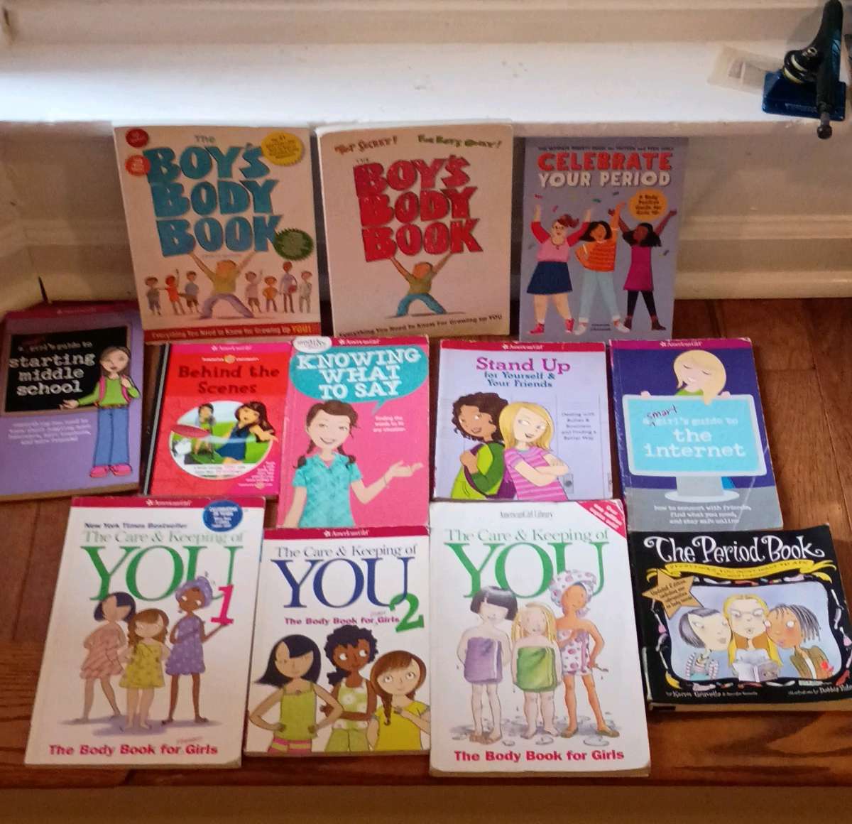 Middle School  Puberty Book Bundle American Girl  More