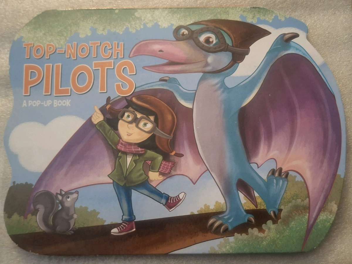 Top Notch Pilots A pop up book