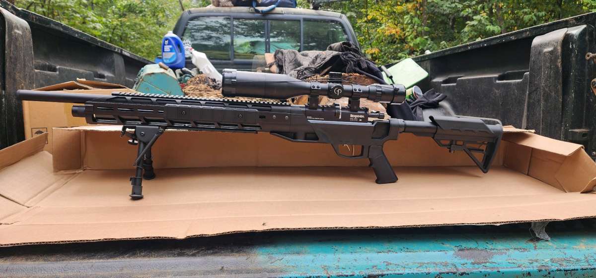 Benjamin armada btap 22sx