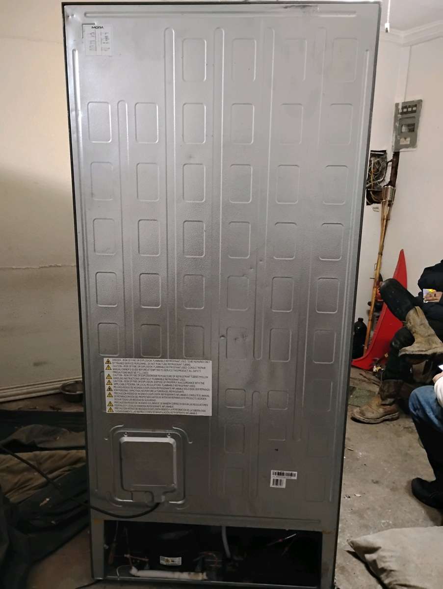 2025 Hisense Mora bottom freezer refrigerator