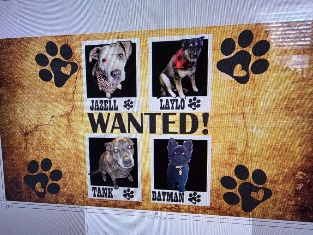 customize shirts cups