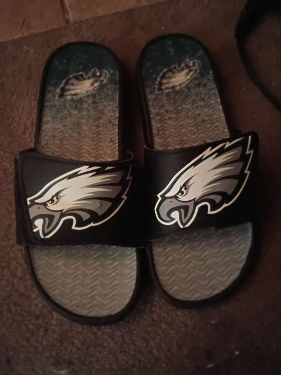 Philadelphia eagles slides
