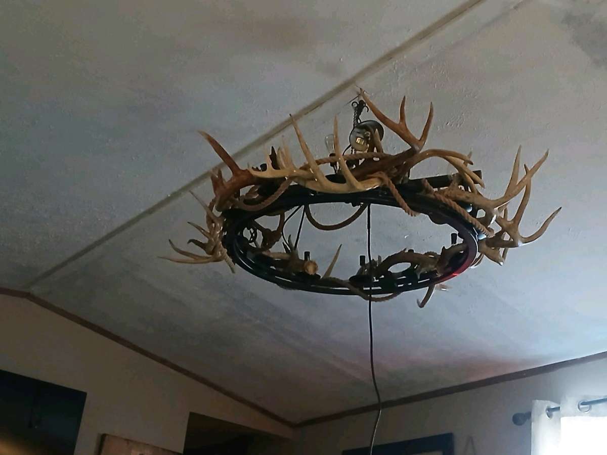Deer antler chandelier ox yoke
