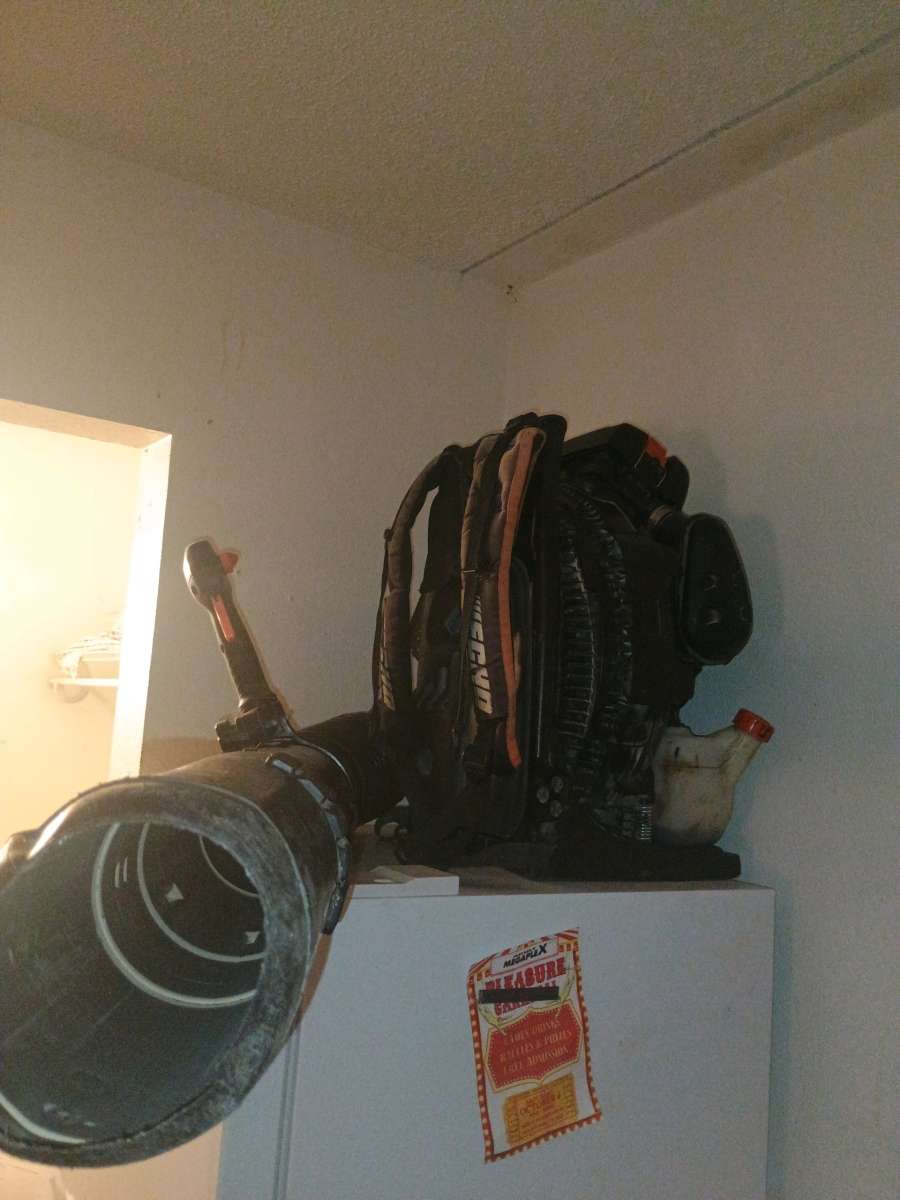 echo backpack blower