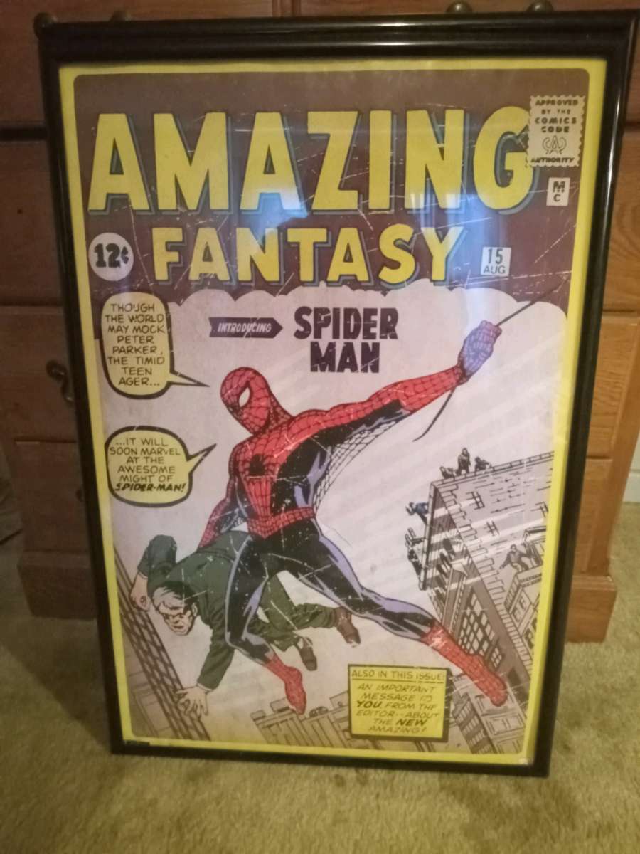 Framed SpiderMan poster