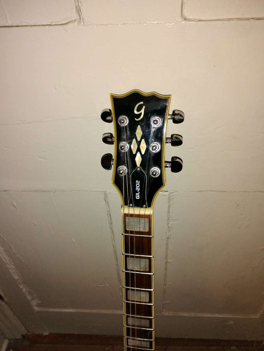 gianini gil303