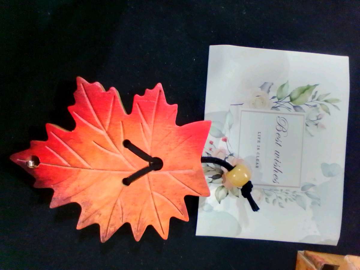 jaw harp with wooden case