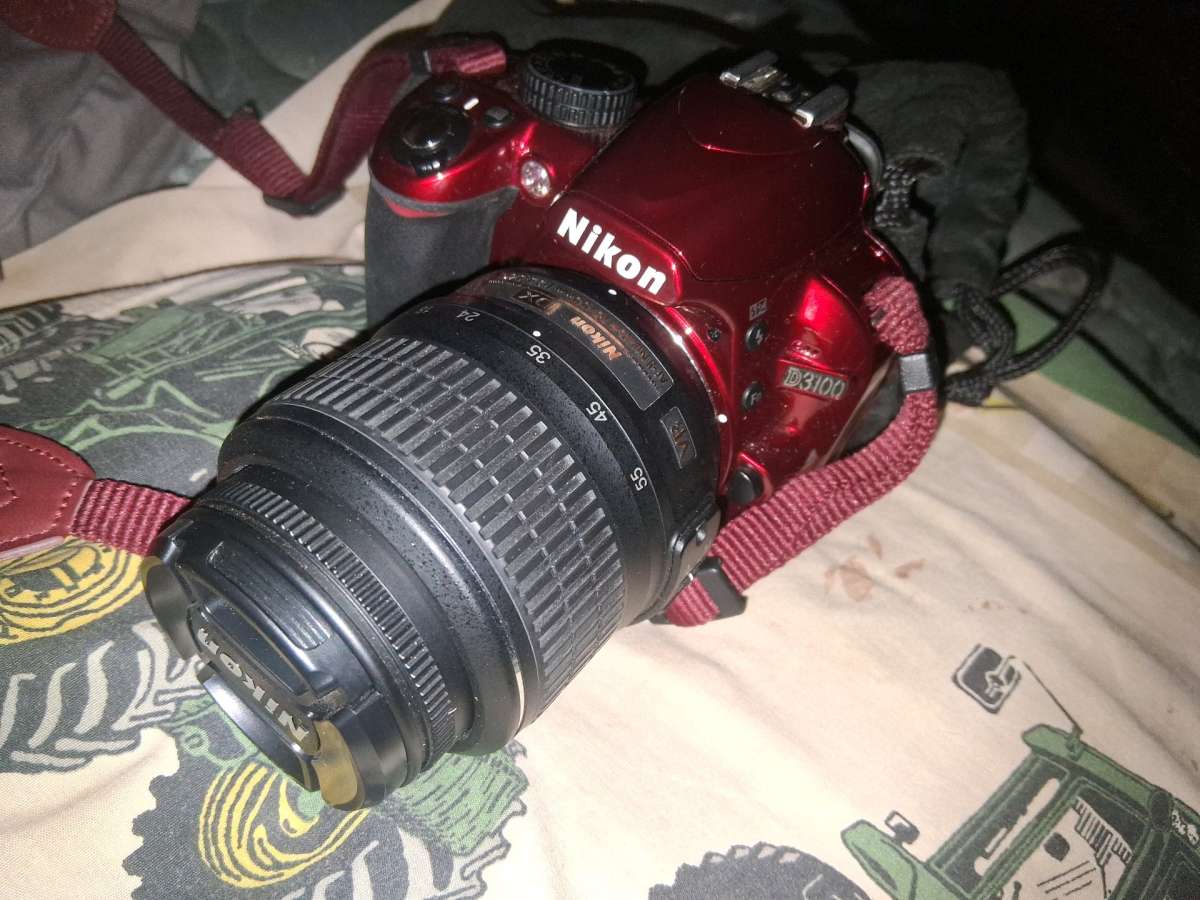 The Nikon D3100